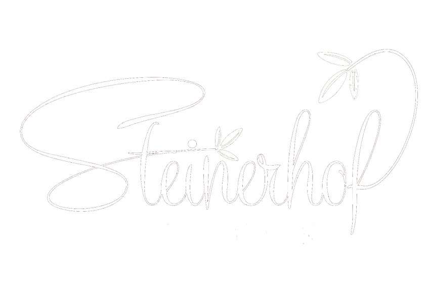 Steinerhof – Seminarraum im Wienerwald
